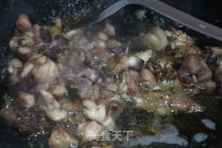 尖椒鸡的做法步骤：8