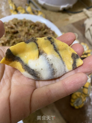 虎皮饺子的做法步骤：17