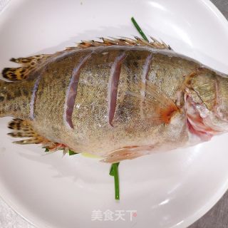 清蒸桂鱼的做法步骤：6