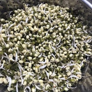 菠菜拌豆芽的做法步骤：1