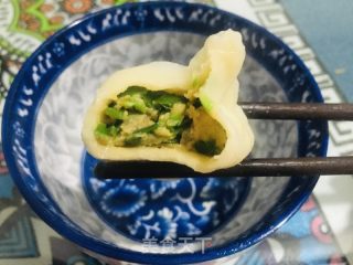 五花肉韭菜水饺的做法步骤：15