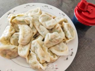 猪肉虾仁白菜饺子的做法步骤：18