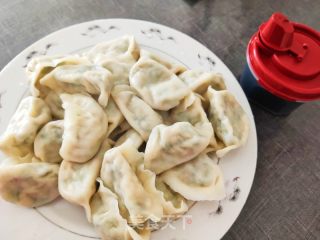 猪肉虾仁白菜饺子的做法步骤：16