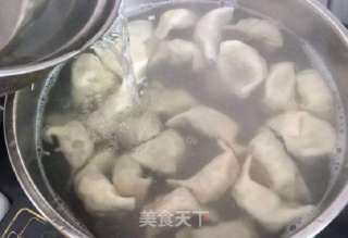 羊肉胡萝卜水饺的做法步骤：13