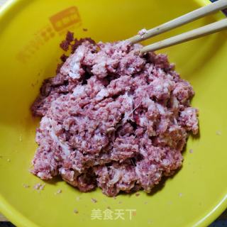 羊肉胡萝卜水饺的做法步骤：3