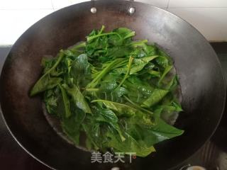蒜蓉菠菜的做法步骤：3