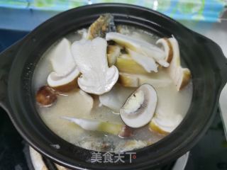 松茸鲫鱼汤的做法步骤：8