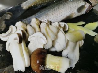 松茸鲫鱼汤的做法步骤：2