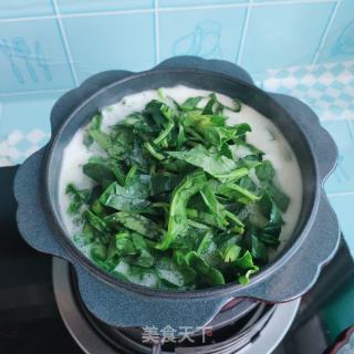 小米菠菜粥的做法步骤：8