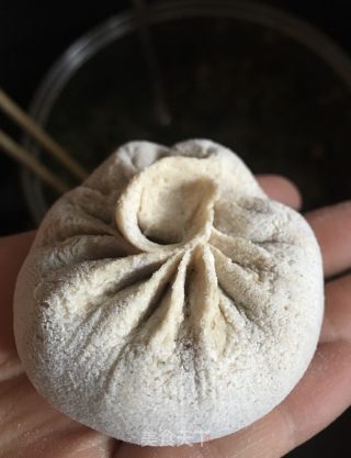 茴香肉包的做法步骤：9