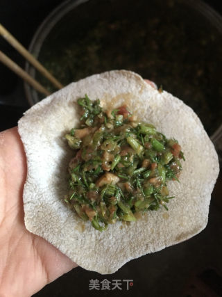 茴香肉包的做法步骤：8