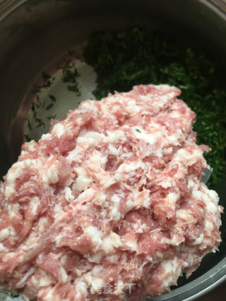 茴香肉包的做法步骤：4