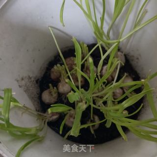 鸡油蒜黄拌血肠的做法步骤：1
