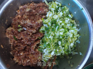 羊肉包子的做法步骤：8
