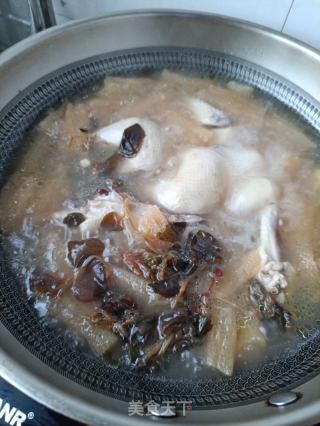 金线莲竹荪王鸽汤的做法步骤：12