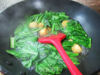 干贝烧油菜蕻煮粉丝的做法步骤：4