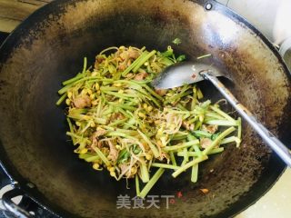 芹菜黄豆芽炒肉片的做法步骤：9