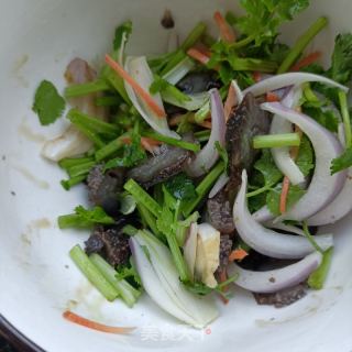 香菜拌海参的做法步骤：9