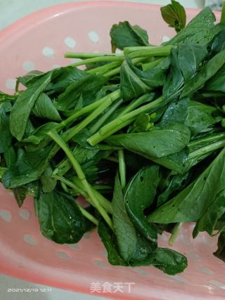 素炒油菜的做法步骤：1