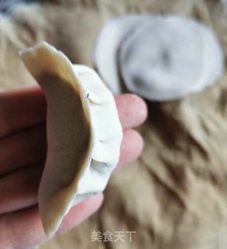 小茴香萝卜饺的做法步骤：9