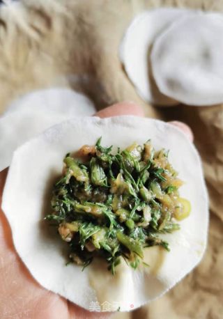 小茴香萝卜饺的做法步骤：8