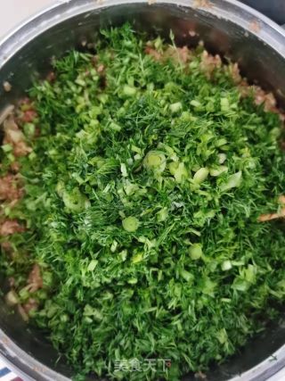 小茴香萝卜饺的做法步骤：5