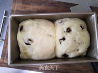 蔓越莓吐司的做法步骤：11