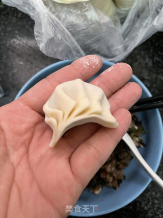 紫菜肉馅饺子的做法步骤：8