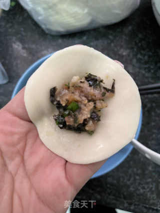 紫菜肉馅饺子的做法步骤：7