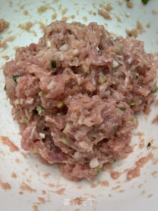 紫菜肉馅饺子的做法步骤：4