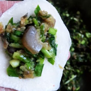 海参韭菜鲜肉水饺的做法步骤：9