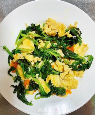 芹菜叶炒鸡蛋的做法步骤：6