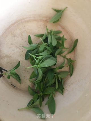 凉拌折耳根的做法步骤：2
