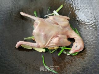 红烧鸽子的做法步骤：3