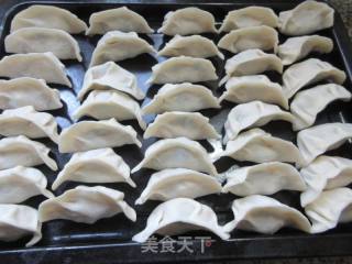 韭菜豆腐肉末馅饺子的做法步骤：14