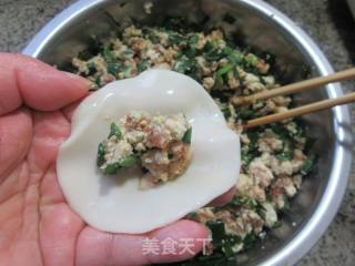 韭菜豆腐肉末馅饺子的做法步骤：12