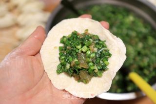 猪肉虾仁韭菜饺子的做法步骤：6