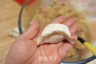 猪肉白萝卜饺子的做法步骤：8