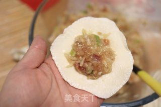 猪肉白萝卜饺子的做法步骤：7