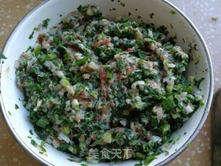 鲜香荠菜饺的做法步骤：8