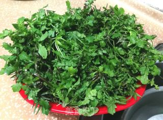鲜香荠菜饺的做法步骤：2