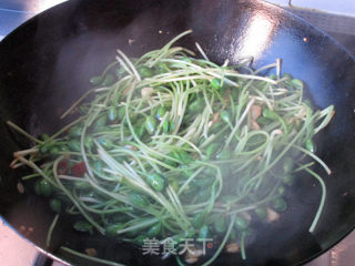炝炒黄豆苗的做法步骤：7