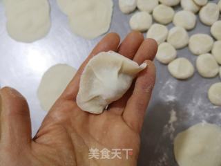 韭菜鸡蛋饺的做法步骤：11