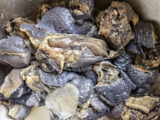 虫草花鲍鱼乌鸡汤的做法步骤：1