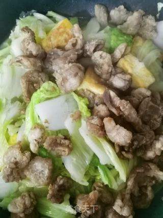 白菜豆腐炖粉条的做法步骤：10