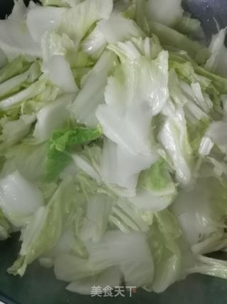 白菜豆腐炖粉条的做法步骤：8