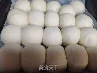 椰蓉小餐包的做法步骤：4