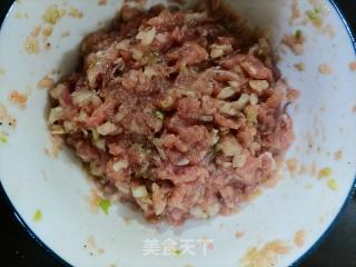 白菜猪肉云吞的做法步骤：4