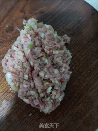白菜猪肉云吞的做法步骤：2