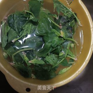 菠菜拌金针菇的做法步骤：6